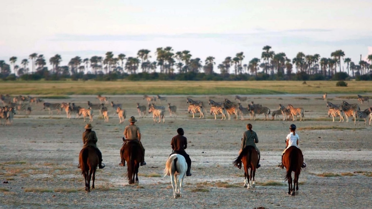 Makgadikgadi-Pans-Jacks-Camp Horse safari amongst zebras