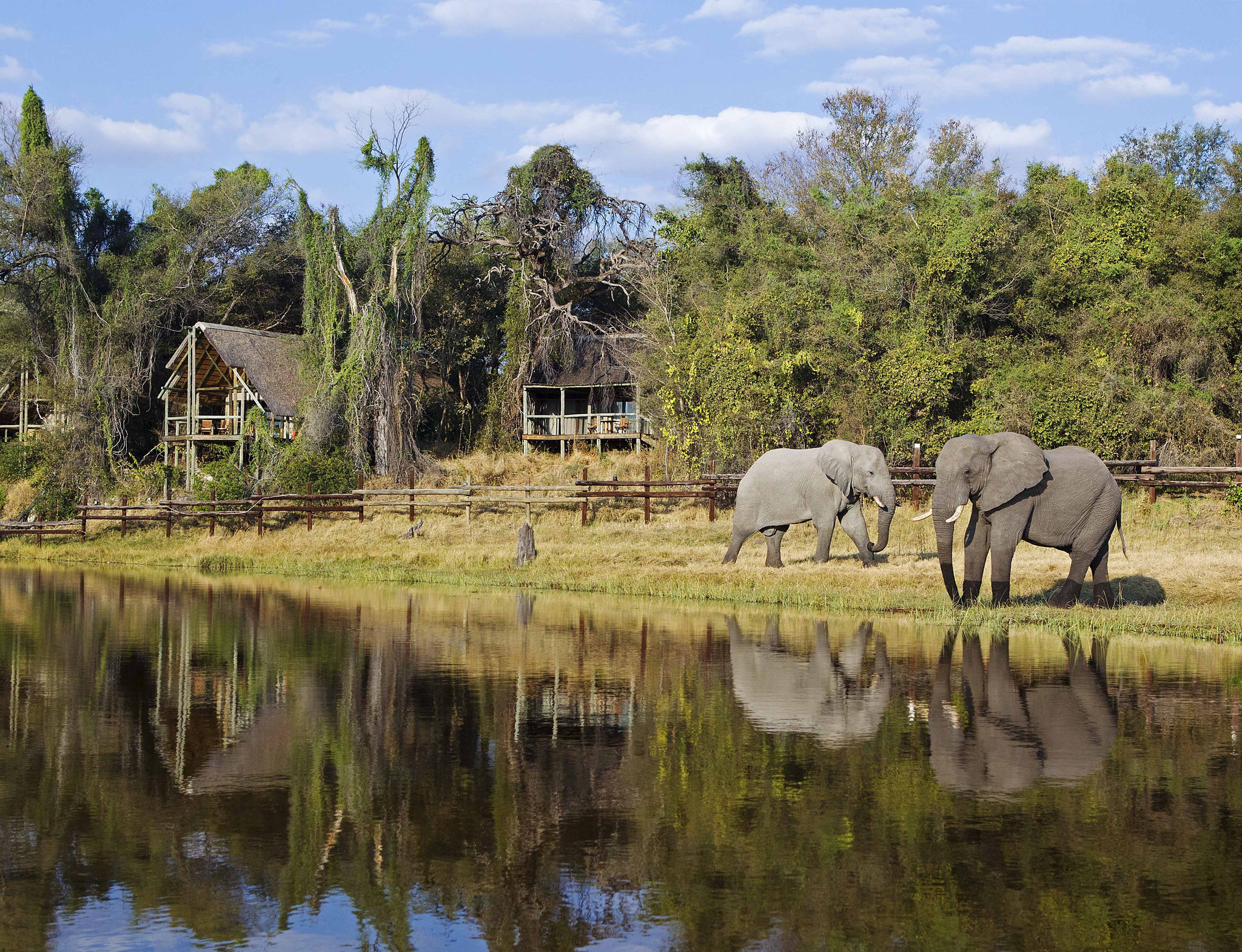 savute-safari-lodge-wildlife-elephants-10 Elephants roaming in front of Savute Safari Lodge in Chobe National Park, Botswana