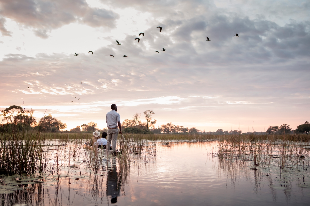 mokoro_vumbura_tcunniffe_Wilderness_Vumbura_Plains Un tout nouveau monde, un endroit éblouissant que je ne connaissais pas