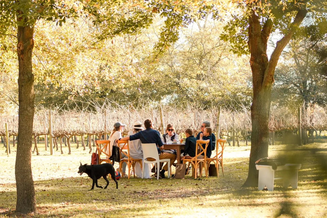 image0 (5) One of the tables beside the vineyards at The Table at De Meye
